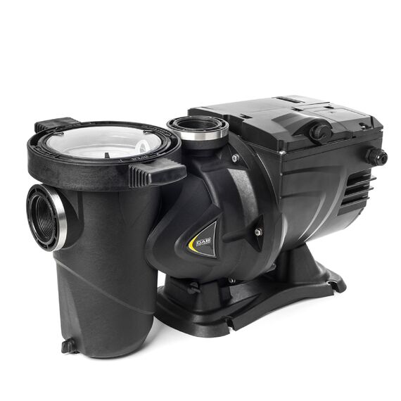Электронный насос для бассейна DAB ESWIM 150 GAS, Номинальный размер трубы: резьба 2" G, Тип электродвигателя: Однофазный, Модель DAB ESWIM: E.SWIM 150 GAS